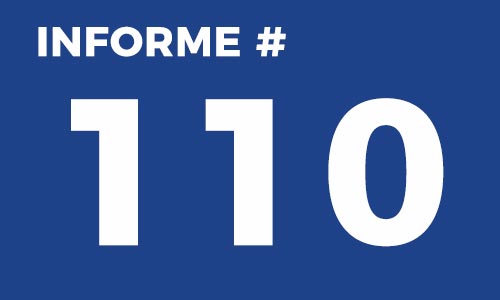 Informe 110